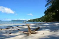 Villa Anse la Blague