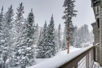 Silverthorne Gem w/ Community Perks: 11 Mi to Ski! - Lejligheder
