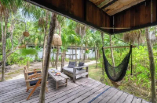 วิดา ซิลเวสเตร ตูลุม