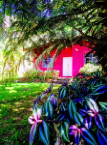 ピンク ハウス のホテル