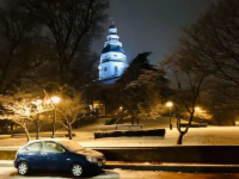 Secluded Cozy Cottage in Historic Downtown