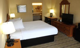 Rodeway Inn Lynchburg Near University