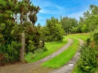 Skylarks Hotels in Boscastle