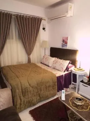 2th  Housni  zamalek