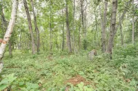 Pequot Lakes Vacation Rental w/ Patio & Fire Pit