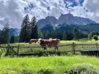 Ferienwohnung "De Obere Kloane" mit Tollen Bergblick. Haustierfreundlich!