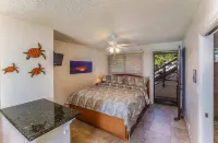 Kona White Sands A4 Romantic Ocean View!