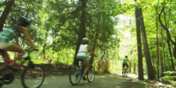 Retro, Cozy Cottage - Peninsula St. Park, Family/Pet Friendly - OPEN year around