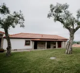 Housing in Penedo Village