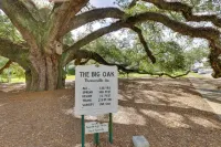 Thomasville Cottage Near the Big Oak and Downtown! - 3-نجوم