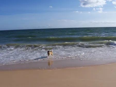 Charming 3-bedroom villa with WiFi and heating