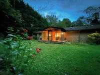 Cheerful Mid Century 3/2 Hideaway in Brevard