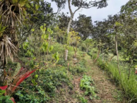 Cabin next to the forest with mountain view 帕拉伊索酒店