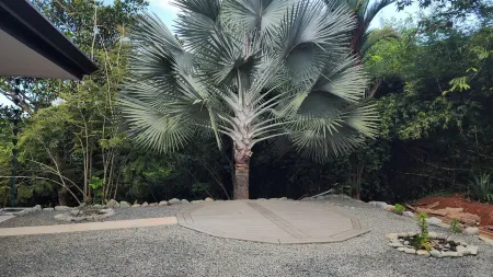 Spacious 5-bedroom ocean view villa in Dominicalito