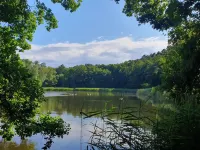 Living in a small village in the middle of nature many lakes forest and hiking trails