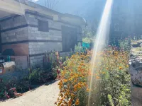 MahaaDev Cottage,Mansari| Homestay | Hostel | Rooms