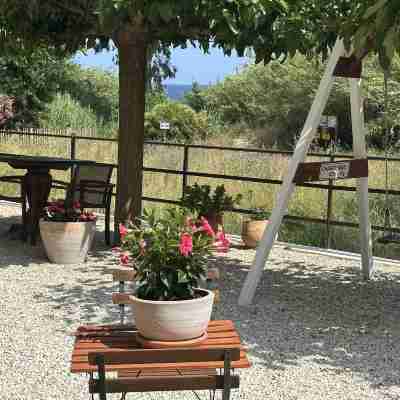 Le clos des sept palmiers Hotel Exterior