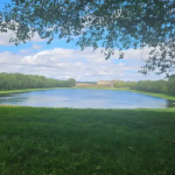 Tiny studette Rémilly Versailles