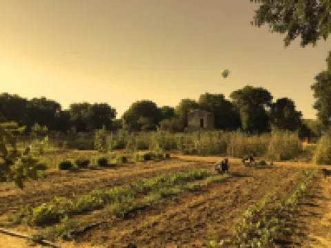 Quiet Mazet at Ferme des Clos d'Uzes