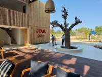 Noor House - Bright & Modern 3 bd & 2 bath Apartment - Paje, Zanzibar