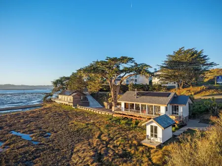 Wander Bodega Shoals