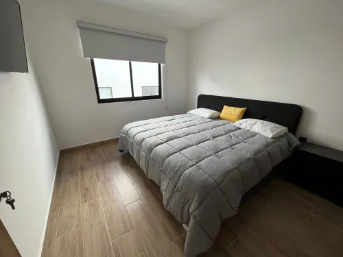 Departamento Black and Golden