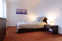 Oldinn Large Flat with Terrace just minutes from the Slopes and the City.