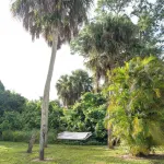 Peaceful Palm a Charming 3-bedroom house near Babcock Ranch, in Fort Myers