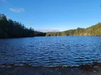 Charming 4-bedroom house in Langford next to Thetis lake