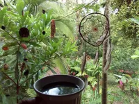ECO BAMBOO JUNGLE LODGE THREE MEALS INCLUDED Hotels in der Nähe von Palo Seco Beach