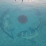 Cheerful Place with 3 Bedrooms