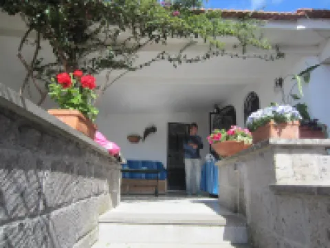 Amaca in a Green Garden