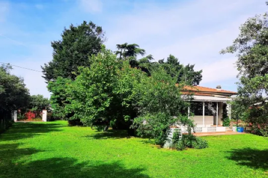 Olive Grove Garden House With Mountain View Close to Forte dei Marmi