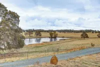 On-site Winery: Rural Plymouth Getaway! - 4-Star