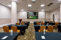 Wyndham Garden Baronne Plaza New Orleans - 3-Star