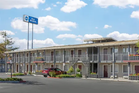 Best Western Petaluma Inn Отели рядом с достопримечательностью «Oli Gallery Guerneville»