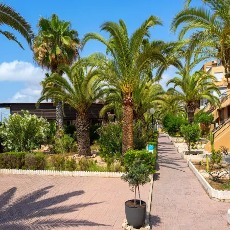 Perseo - Apartment In Torrevieja. Free Wifi