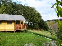 Apartment in Marche near Adriatic Beaches - Apartments