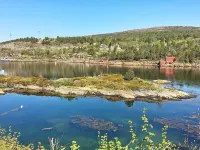 8 person holiday home in FREI - Wifi