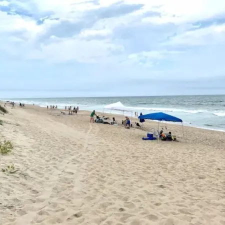 Salty Paws-Walk to beach/Fenced Yard/Pet Friendly