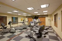 Holiday Inn Express & Suites MALONE by IHG - Gym