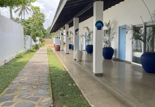 첼시 블루 외관