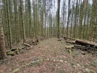 6 Person Holiday Home in Silkeborg by Traum