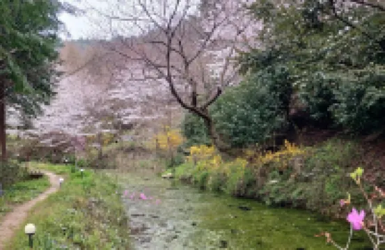 보성 생태마실민박펜션