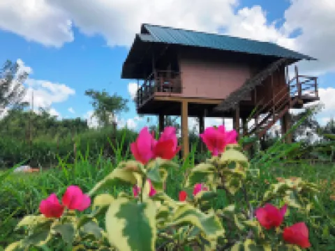 Sigiriya Paddy Field Hut