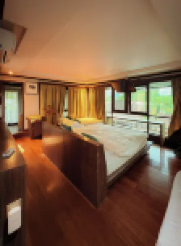 Serene Palm Heritage Tropical Villa