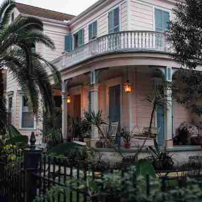 The Luzianne Hotel Exterior