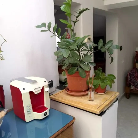 Spacious and Naturally Bright Bomboniera Rooftop Favors Apartment