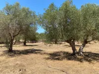 Garden Villa Near Chania s Coastline - Villas