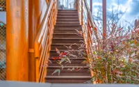 Naju Moon and Star Hanok Pension